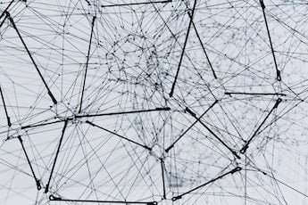 Network style complex adaptive systems